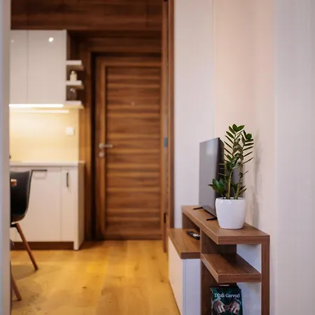 Center شقة كراغوييفاك